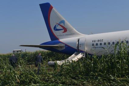 Московская область.  Самолет Airbus A321 авиакомпании `Уральские авиалинии`, который совершил аварийную посадку в районе аэропорта Жуковский после возгорания двигателя при взлете.