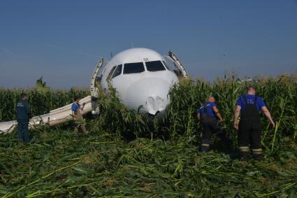 Московская область.  Самолет Airbus A321 авиакомпании `Уральские авиалинии`, который совершил аварийную посадку в районе аэропорта Жуковский после возгорания двигателя при взлете.