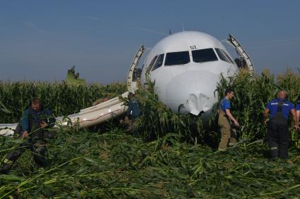 Московская область. Самолет Airbus A321 авиакомпании `Уральские авиалинии`, который совершил аварийную посадку в районе аэропорта Жуковский после возгорания двигателя при взлете.