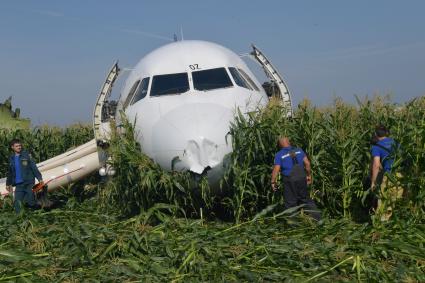 Московская область.  Самолет Airbus A321 авиакомпании `Уральские авиалинии`, который совершил аварийную посадку в районе аэропорта Жуковский после возгорания двигателя при взлете.