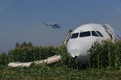 Московская область.  Самолет Airbus A321 авиакомпании `Уральские авиалинии`, который совершил аварийную посадку в районе аэропорта Жуковский после возгорания двигателя при взлете.