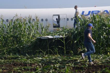 Московская область.  Самолет Airbus A321 авиакомпании `Уральские авиалинии`, который совершил аварийную посадку в районе аэропорта Жуковский после возгорания двигателя при взлете.