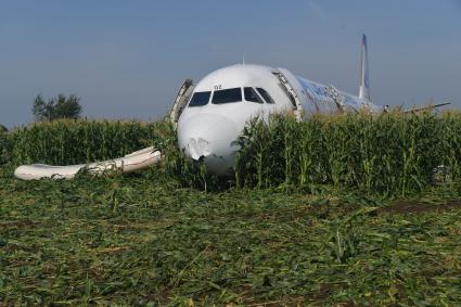 Московская область.  Самолет Airbus A321 авиакомпании `Уральские авиалинии`, который совершил аварийную посадку в районе аэропорта Жуковский после возгорания двигателя при взлете.