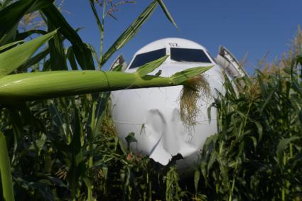 Московская область.  Самолет Airbus A321 авиакомпании `Уральские авиалинии`, который совершил аварийную посадку в районе аэропорта Жуковский после возгорания двигателя при взлете.