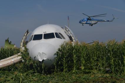 Московская область.  Самолет Airbus A321 авиакомпании `Уральские авиалинии`, который совершил аварийную посадку в районе аэропорта Жуковский после возгорания двигателя при взлете.