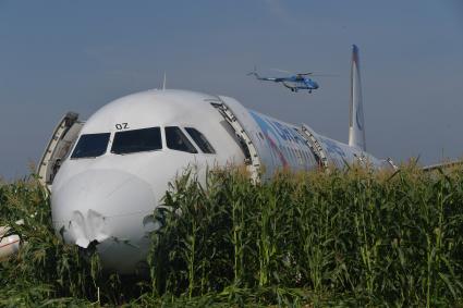 Московская область.  Самолет Airbus A321 авиакомпании `Уральские авиалинии`, который совершил аварийную посадку в районе аэропорта Жуковский после возгорания двигателя при взлете.