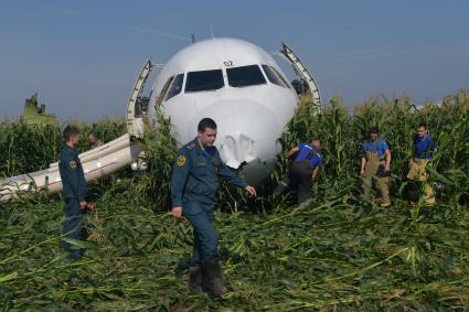 Московская область.  Самолет Airbus A321 авиакомпании `Уральские авиалинии`, который совершил аварийную посадку в районе аэропорта Жуковский после возгорания двигателя при взлете.