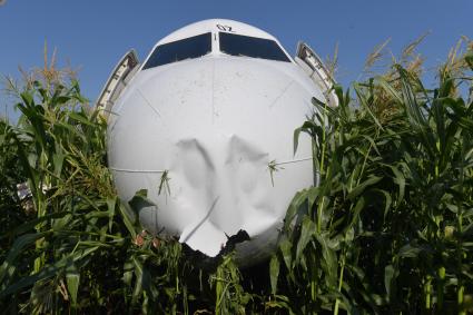 Московская область. Самолет Airbus A321 авиакомпании `Уральские авиалинии`, который совершил аварийную посадку в районе аэропорта Жуковский после возгорания двигателя при взлете.