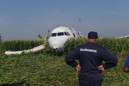 Московская область.  Самолет Airbus A321 авиакомпании `Уральские авиалинии`, который совершил аварийную посадку в районе аэропорта Жуковский после возгорания двигателя при взлете.