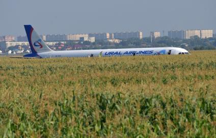 Московская область. Самолет Airbus A321 авиакомпании `Уральские авиалинии`, который совершил аварийную посадку в районе аэропорта Жуковский после возгорания двигателя при взлете.