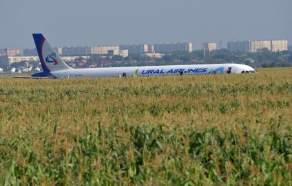 Московская область.  Самолет Airbus A321 авиакомпании `Уральские авиалинии`, который совершил аварийную посадку в районе аэропорта Жуковский после возгорания двигателя при взлете.