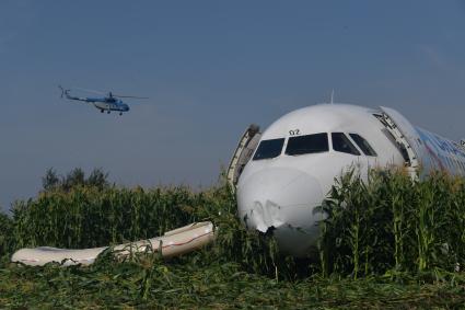 Московская область. Самолет Airbus A321 авиакомпании `Уральские авиалинии`, который совершил аварийную посадку в районе аэропорта Жуковский после возгорания двигателя при взлете.