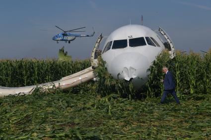 Московская область.  Самолет Airbus A321 авиакомпании `Уральские авиалинии`, который совершил аварийную посадку в районе аэропорта Жуковский после возгорания двигателя при взлете.