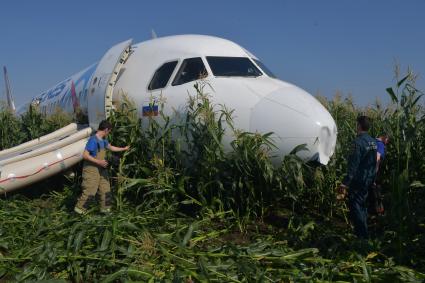 Московская область.  Самолет Airbus A321 авиакомпании `Уральские авиалинии`, который совершил аварийную посадку в районе аэропорта Жуковский после возгорания двигателя при взлете.