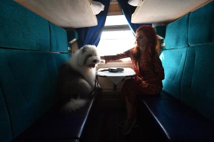 Москва.  Женщина с собакой в купе поезда.