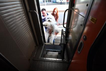 Москва.  Женщина с собакой садится в вагон .