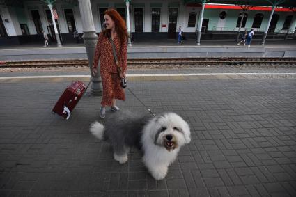Москва.  Женщина с собакой и чемоданом на платформе  вокзала.