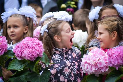 Новосибирск.  Ученики на торжественной линейке, посвященной Дню знаний.