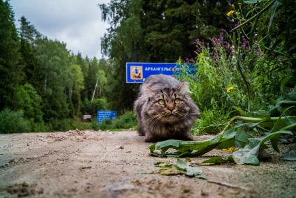 Архангельская область. Граница  Архангельской области и Карелии.