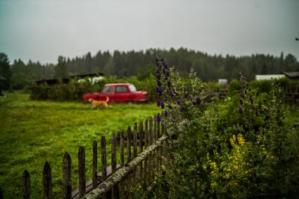 Архангельская область, деревня Монастырка. Вид деревни.