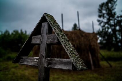 Архангельская область, Каргопольский район, деревня Шелоховская. Вид на деревянную церковь Михаила Архангела.