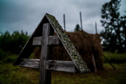 Архангельская область, Каргопольский район, деревня Шелоховская. Вид  на  деревянную церковь Михаила Архангела.