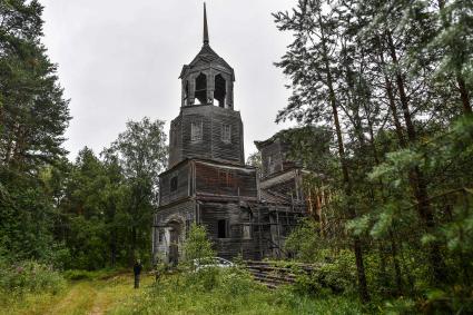 Архангельская область, деревня Литвиново.Деревянный  храм Иоанна Предтечи XIX века, который восстанавливает организация `Общее дело `.