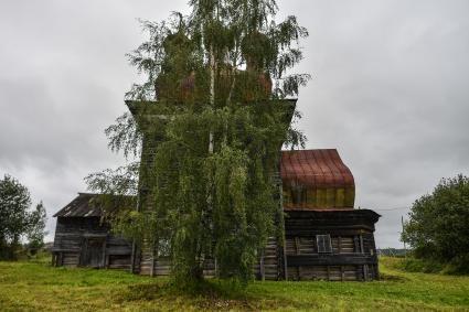 Архангельская область, Каргопольский район, деревня Шелоховская. Вид  на  деревянную церковь Михаила Архангела.