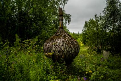 Архангельская область,  деревня Большая Шалга. Вид на деревянную церковь Покрова Пресвятой Богородицы в Большой Шалге рядом с Каргополем.