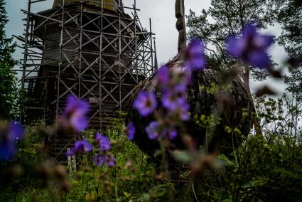 Архангельская область,  деревня Большая Шалга. Вид на деревянную церковь Покрова Пресвятой Богородицы в Большой Шалге рядом с Каргополем.