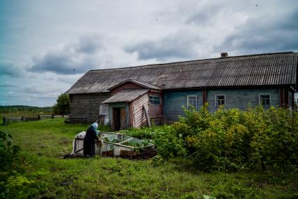 Архангельская область, деревня Лядины.  Деревянные дома у дороги.