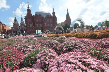 Москва.  Площадка Международного фестиваля ландшафтного дизайна `Цветочный джем` на Манежной площади.