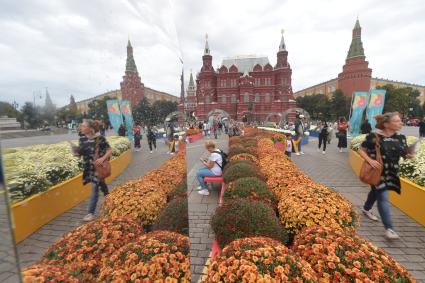 Москва. Площадка Международного фестиваля ландшафтного дизайна `Цветочный джем` на Манежной площади.