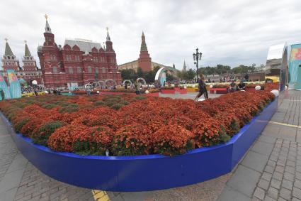 Москва. Площадка Международного фестиваля ландшафтного дизайна `Цветочный джем` на Манежной площади.