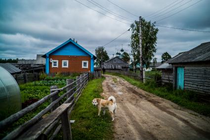 Архангельская область, Кенозерский национальный парк.  Деревенский вид.