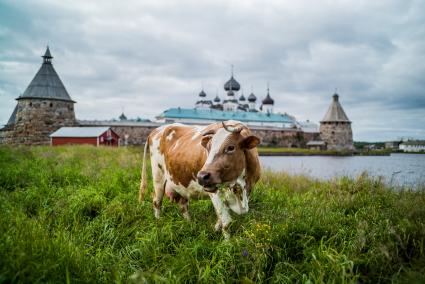 Соловки, Соловецкий монастырь.  Вид на Спасо-Преображенский Соловецкий монастырь.