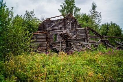 Республика Карелия, Пегрема. Развалины деревянного  дома в  заброшенной деревне.