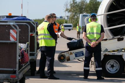 Санкт-Петербург. Погрузка багажа в аэропорту `Пулково`.