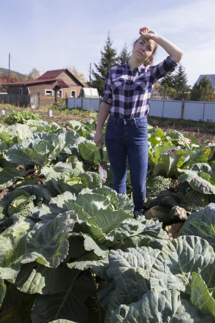 Иркутск. Девушка на капустных грядках.