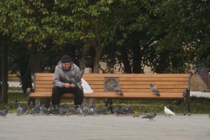 Екатеринбург. Пожилой мужчина кормит голубей сидя на скамейке в сквере