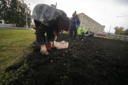 Екатеринбург. Женщины высаживают луковицы тюльпана в клумбу перед началом зимы.