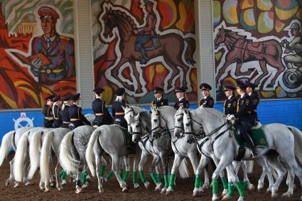 Москва. Показательные выступления сотрудников конной полиции.