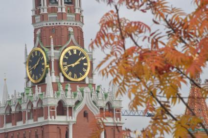 Москва.  Вид на Спасскую башню.