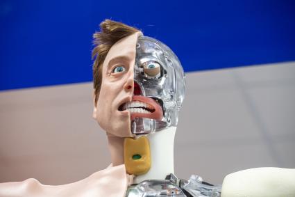 Казань. Производственный цех предприятия `Эйдос Медицина` по изготовлению роботов-пациентов для медицинских целей.