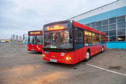 Казань.  Минские автобусы МАЗ на автотранспортном предприятии Казани.