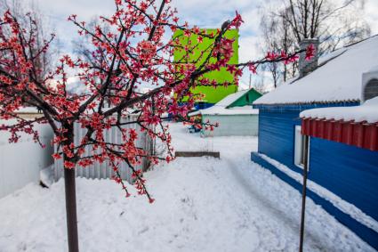 Магаданская область,  Усть-Омчуг. На улице города .