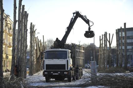 Екатеринбург. Кронирование дереревьев на бульваре Культуры