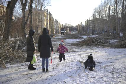 Екатеринбург. Кронирование дереревьев на бульваре Культуры