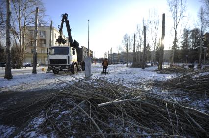 Екатеринбург. Кронирование дереревьев на бульваре Культуры