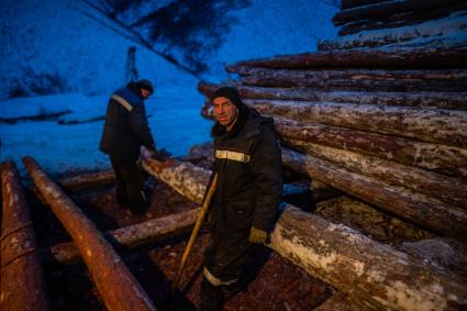 Магаданская область. Заготовка дров для   жителей поселка  на территории золотодобывающей артели  `Гран`.